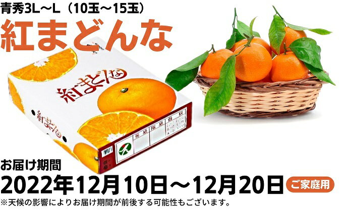 【ふるさと納税】ご家庭用 紅まどんな 青秀3L〜L（10玉〜15玉）　【果物類・柑橘類・フルーツ・果物類・柑橘類・みかん・フルーツ】　お届け：2022年12月10〜12月20日