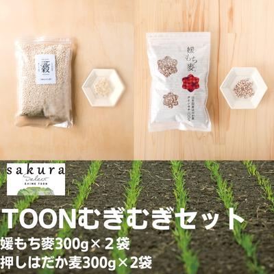 TOONむぎむぎセット 麦 もち麦 はだか麦 食物繊維 ご飯 サラダ スープ もちもち プチプチ お届け:ご寄附(入金)確認後、順次配送致します。