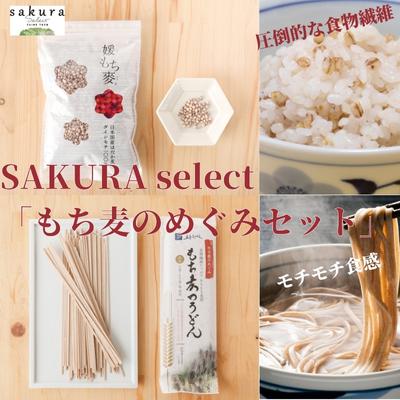 【ふるさと納税】SAKURA select 「もち麦のめぐみセット」 麺類 うどん 乾麺 お米 食物繊維 主食 ランチ 昼ごはん 夜ごはん 夜食