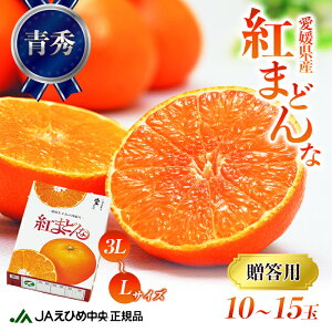 【ふるさと納税】数量限定 紅まどんな 青秀3L〜L（10玉〜15玉）　【 果物類 柑橘類 フルーツ みかん 柔らかい 甘い 美味しい ゼリー プレミアム 柑橘 】　お届け：2023年12月10日〜12月20日