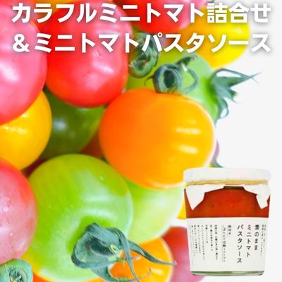 「栗林農園」素のままパスタソースとカラフルミニトマト詰合せ [ セット 素材の味 無水調理 凝縮 無着色 無香料 化学調味料 不使用 合成保存料 温室栽培 6品種 ] お届け:2023年11月上旬〜2024年7月中旬