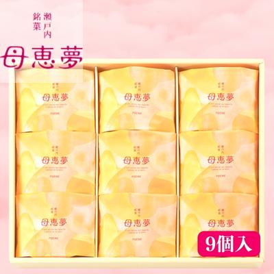 瀬戸内銘菓 母恵夢 9個入 ポエム 手土産 贈答 ギフト [ お菓子 スイーツ 和菓子 茶菓子 バター風味 お土産 ]