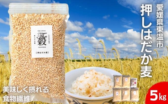 【ふるさと納税】押しはだか麦5kgセット もち麦　【 はだか麦 お徳用 愛媛 食物繊維 5kg 5袋 】