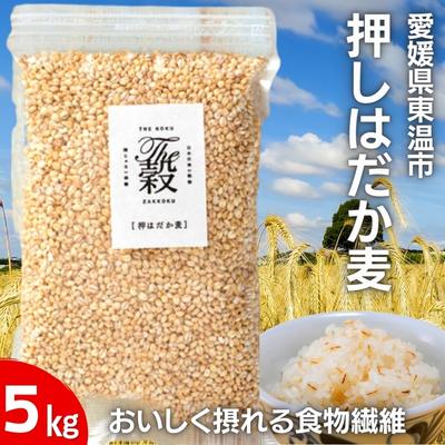 【ふるさと納税】押しはだか麦5kgセット もち麦　【 はだか麦 お徳用 愛媛 食物繊維 5kg 5袋 】