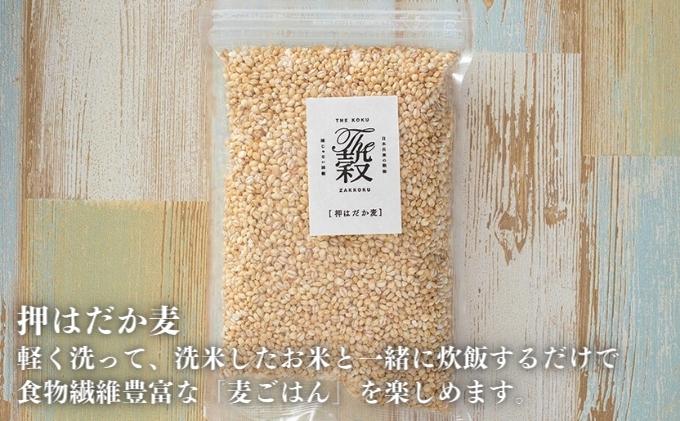 【ふるさと納税】押しはだか麦5kgセット もち麦 お徳用 愛媛 食物繊維 5袋 f382159-toon-10000117 愛媛県東温市 サンプル画像3