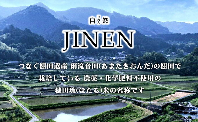 サンプル画像3