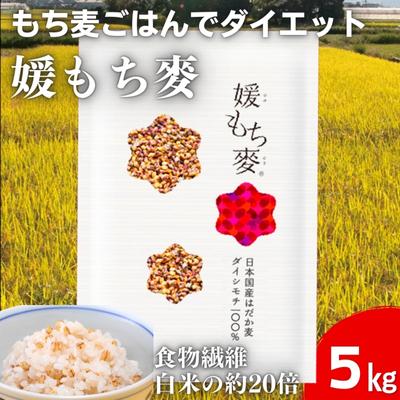 20位! 口コミ数「0件」評価「0」媛もち麥5kgセット＋押しはだか麦300g／もち麦 麦ごはん 雑穀　【 食物繊維豊富 食物繊維 もちもち プリプリ 食感 食品 食べ物 ご飯･･･ 