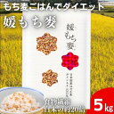 【ふるさと納税】媛もち麥5kgセット＋押しはだか麦300g／もち麦 麦ごはん 雑穀　【 食物繊維豊富 食物繊維 もちもち プリプリ 食感 食..