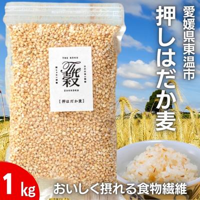 押しはだか麦1kg　【 食物繊維豊富 食物繊維 食感 プチプチ あっさり 麦ごはん 食品 食べ物 ご飯 おにぎり お弁当 主食 毎日 炭水化物 国産 日本産 愛媛県産 東温市産 直送 産地直送 】