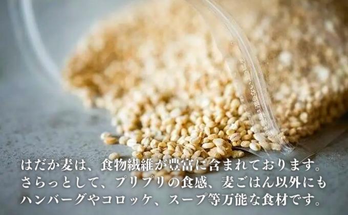 【ふるさと納税】押しはだか麦1kg 食物繊維豊富 食物繊維 食感 プチプチ あっさり ...