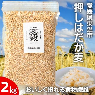 押しはだか麦 計2kg（1kg×2袋セット）　【 食物繊維豊富 食物繊維 食感 プチプチ あっさり 麦ごはん 食品 食べ物 ご飯 おにぎり お弁当 主食 毎日 炭水化物 国産 日本産 愛媛県産 東温市産 直送 産地直送 】