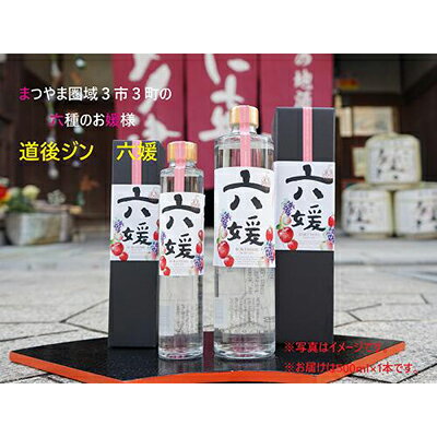 【ふるさと納税】水口酒造 道後ジン「六媛」500ml クラフトジン スピリッツ 愛媛 お酒 晩酌 家飲み 宅飲み 愛媛県産素材 ボタニカル フレッシュ 華やかな香り 香ばしい香り キレ のかな甘み