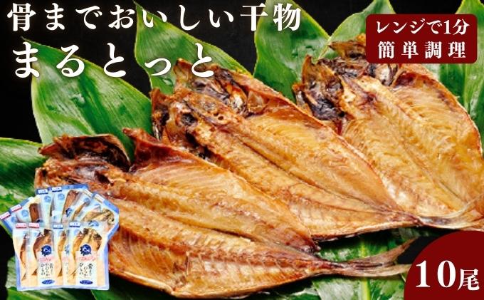 【ふるさと納税】骨までおいしい干物「まるとっと」お手軽1尾セット　【 魚貝類 加工品 干物セット ギフトセット あじ開き みりん干し さんま開き 魚 おかず 】