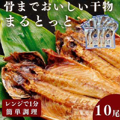 【ふるさと納税】骨までおいしい干物「まるとっと」お手軽1尾セ