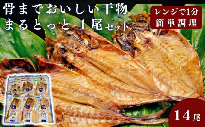 【ふるさと納税】骨までおいしい干物「まるとっと」1尾セット　【 魚貝類 加工品 干物セット 魚 おかず あじ開き みりん干し さんま開き たい丸物 朝食 食卓 】