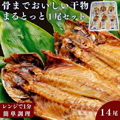 楽天ふるさと納税　【ふるさと納税】骨までおいしい干物「まるとっと」1尾セット　【 魚貝類 加工品 干物セット 魚 おかず あじ開き みりん干し さんま開き たい丸物 朝食 食卓 】