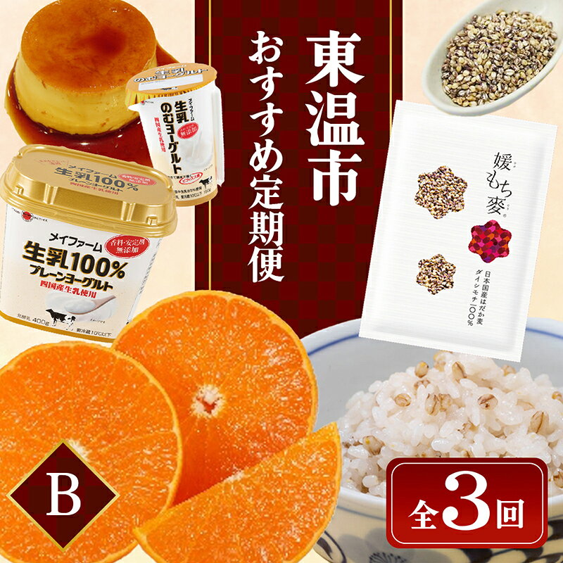 東温市おすすめ定期便Bセット【数量限定】 お届け：2024年1月～3月