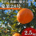【ふるさと納税】愛果28号 約2.5kg 東温市産 サイズお任せ 「 紅まどんな 」の同一品種(品種名: 愛媛果試28号 ) 今が旬 農園直送 みかん 人気 数量限定 先行予約 愛媛みかん かんきつ 愛媛県 フルーツ 果物 くだもの 甘い お届け:2025年12月中旬~2026年1月下旬
