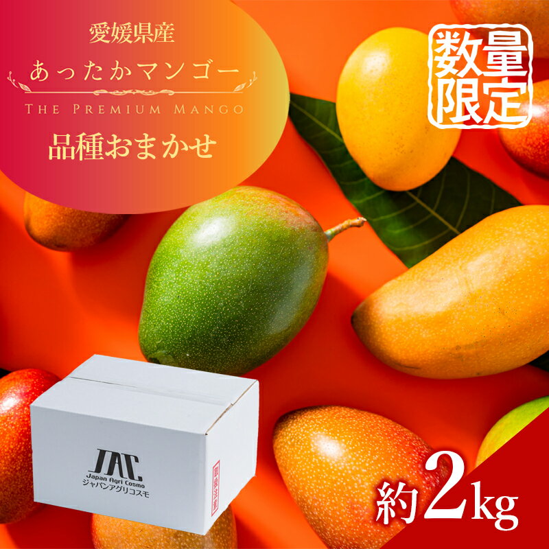 あったかマンゴー 品種おまかせ 約2kg [東温市] お届け:2024年7月下旬〜9月下旬