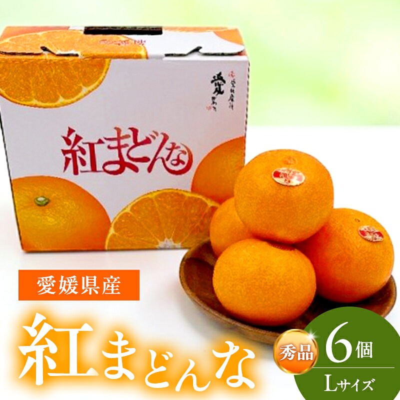 紅まどんな 秀品 Lサイズ 6個 果物 フルーツ 柑橘 柑橘類 国産 愛媛 お届け:2026年11月中旬〜2026年12月下旬