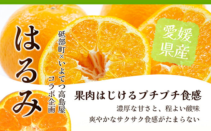 【ふるさと納税】【数量限定 先行予約】愛媛県産 はるみ 約5kg[50R0824] 【高島屋選定品】秀M～2Lサイズ 1月下旬頃～順次発送＜ギフト 高級 甘い みかん フルーツ＞[No.53030335]　お届け：2027年1月下旬～2月中旬頃 f382159-toon-10000300 愛媛県東温市 サンプル画像2