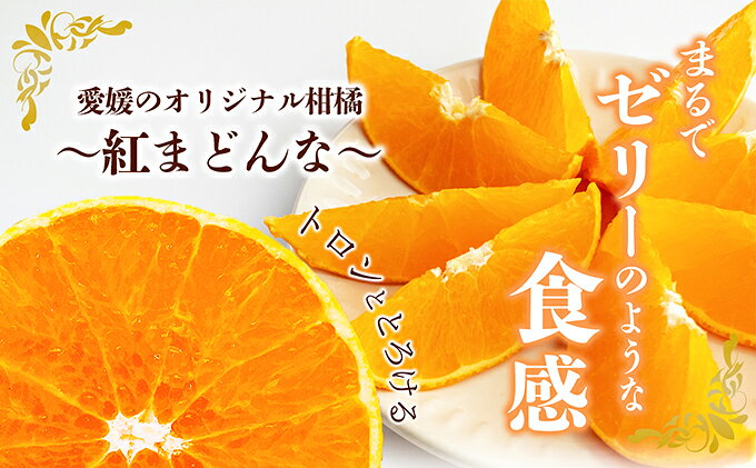 【ふるさと納税】【数量限定 先行予約】愛媛県産 紅まどんな2.7kg[50R0986]【高島屋選定品】青秀 M～3Lサイズ（10～16玉）12月上旬頃～順次発送 ＜ギフト 正規品 甘い みかん フルーツ＞[No.53030337]　お届け：2026年12月上旬～2027年1月中旬頃 f382159-toon-10000301 愛媛県東温市 サンプル画像2