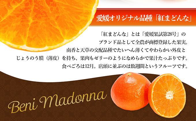 【ふるさと納税】【数量限定 先行予約】愛媛県産 紅まどんな2.7kg[50R0986]【高島屋選定品】青秀 M～3Lサイズ（10～16玉）12月上旬頃～順次発送 ＜ギフト 正規品 甘い みかん フルーツ＞[No.53030337]　お届け：2026年12月上旬～2027年1月中旬頃 f382159-toon-10000301 愛媛県東温市 サンプル画像3