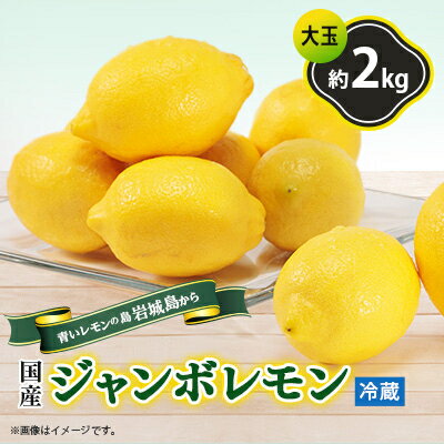 【ふるさと納税】青いレモンの島 ジャンボレモン2kg(冷蔵)【配送不可地域:離島】【1113730】