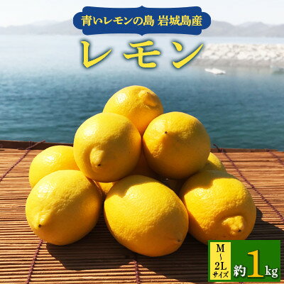 青いレモンの島 レモン約1kg[お試しセット]