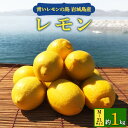 青いレモンの島　レモン約1kg