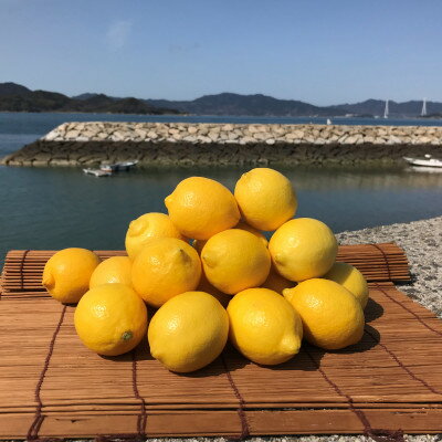 【ふるさと納税】青いレモンの島　国産レモン約3kg(冷蔵便発送)※サイズはS玉〜2L玉のいずれかもしくは混載【1299053】