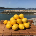 青いレモンの島　国産レモン約3kg(冷蔵便発送)※サイズはS玉～2L玉のいずれかもしくは混載