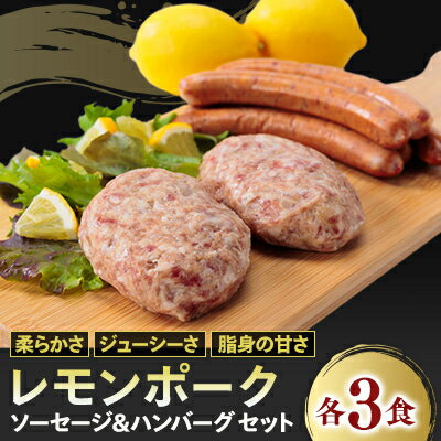 【ふるさと納税】レモンポーク　ソーセージ・ハンバーグセット【配送不可地域：離島】【1314480】のサムネイル