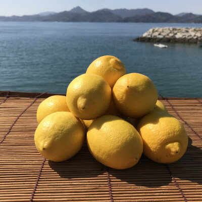 青いレモンの島 レモン約1kg[お試しセット](冷蔵便発送)[配送不可地域:離島]