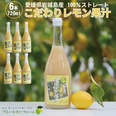 13位! 口コミ数「0件」評価「0」愛媛　ブルーレモンファームのレモン果汁　720ml×6本セット【1489706】