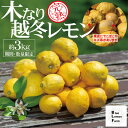 【ふるさと納税】愛媛 ブルーレモンファームの木なり越冬完熟訳ありレモン 約3kg 【冷蔵便】期間・数量限定【配送不可地域:離島】【1619405】