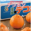 【ふるさと納税】【先行予約】瀬戸内のデコポン 約5kg 3L~L 18玉~24玉 JA選果品 上島・今治産 【1643861】