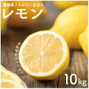【ふるさと納税】【先行予約】瀬戸内レモン10kg 2L~M JA選果品【1644241】