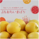 【ふるさと納税】【先行予約】瀬戸内レモン小箱 約2.5K JA選果品 2L~Mサイズ【1644255】