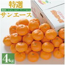 【ふるさと納税】【先行予約】特選温州みかん サンエース4kg 2L~S JA選果品【1644263】