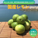 【ふるさと納税】【先行予約11月発送~】青いレモンの島 グリーンレモン約1kg【1651130】