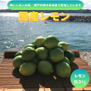【ふるさと納税】【先行予約11月発送~】青いレモンの島 グリーンレモン約3kg【1651150】