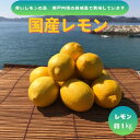 【ふるさと納税】【先行予約2026年1月発送~】青いレモンの島 国産レモン(イエロー)約1kg【1651410】