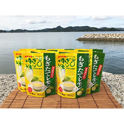 【ふるさと納税】【2022年4月上旬発送】もぎたてレモン(粉末清涼飲料)10袋セット【6375646】
