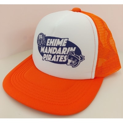 【ふるさと納税】愛媛マンダリンパイレーツ 応援セット【1122285】