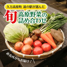 【ふるさと納税】高原野菜詰め合わせセット｜道の駅直送 お試し 新鮮 もぎたて 旬の味覚　※北海道・沖縄・離島への配送不可　※2024年6月上旬～10月下旬頃に順次発送予定