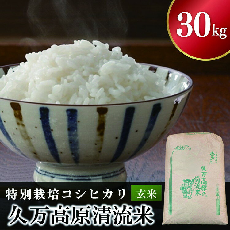 【ふるさと納税】【R8年産】久万高原清流米 コシヒカリ 30kg 玄米｜特別栽培米 減農薬・減化学肥料 標高800mの高原育ち 愛媛県久万高原町 道の駅　天空の郷さんさん ※2026年10月～発送