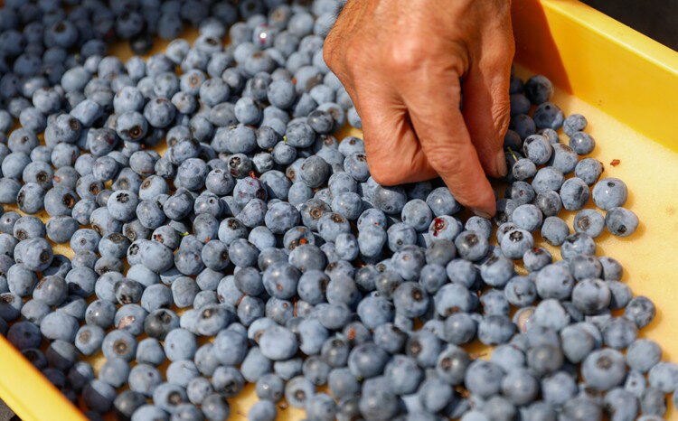 愛媛県久万高原町の画像3