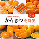 【愛媛県共通返礼品】【定期便】愛媛のかんきつ定期便（全6回）（日の丸みかん・紅まどんな・伊予柑・甘平・せとか・河内晩柑）　※2024年11月～2025年4月に毎月1回発送予定