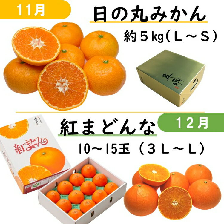 【ふるさと納税】【愛媛県共通返礼品】【定期便】愛媛のかんきつ定期便（全6回）（日の丸みかん・紅まどんな・伊予柑・甘平・せとか・河内晩柑）　※2024年11月～2025年4月に毎月1回発送予定